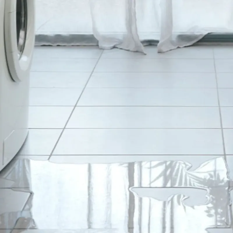 Appliance Leak Cleanup in Coopertown, TN