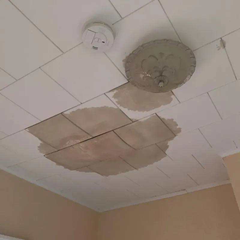 Ceiling Water Damage Repair in Coopertown, TN