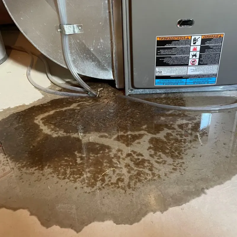 Pipe Burst and Leak Restoration in Coopertown, TN