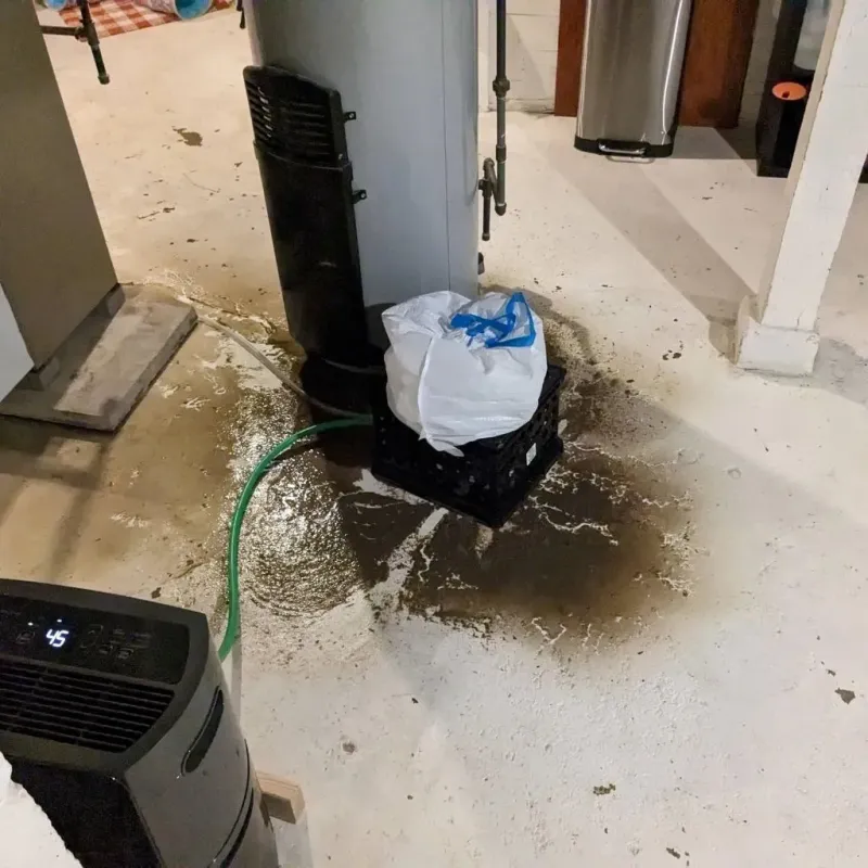 Sewage Backup Cleanup Service in Coopertown, TN